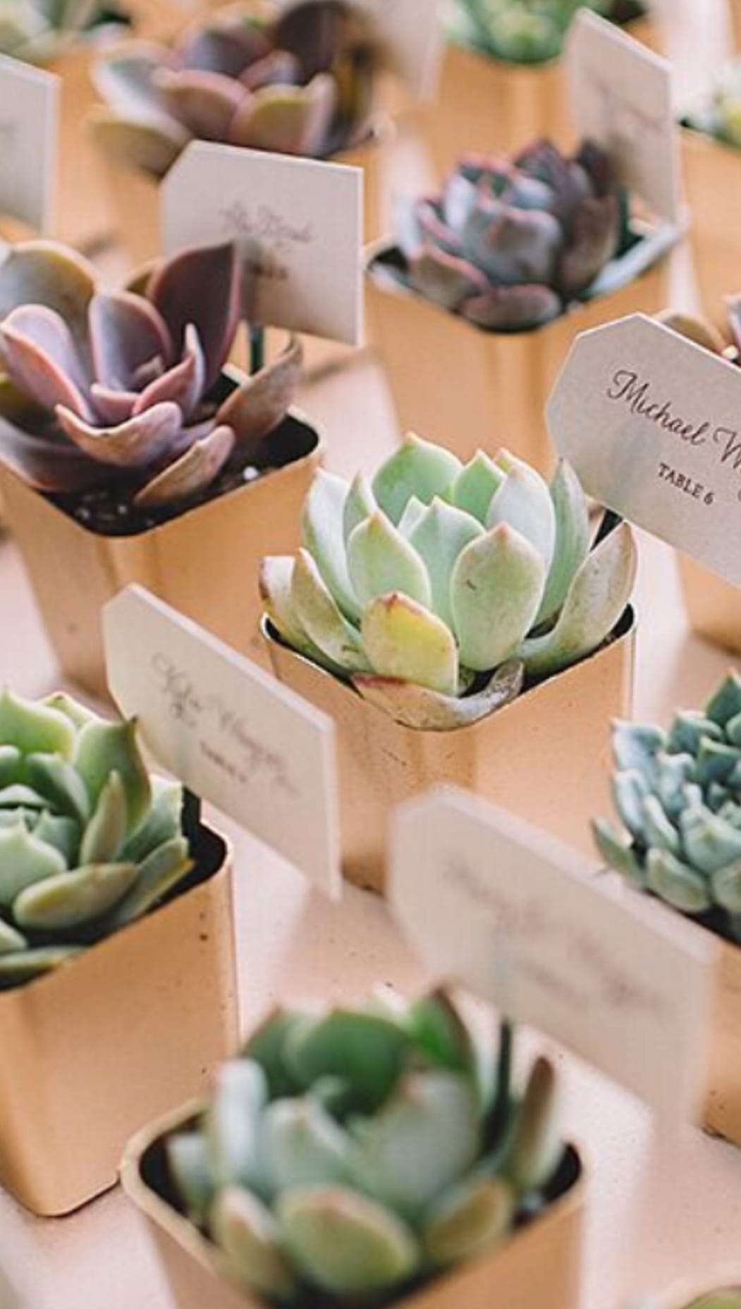 GUEST DETAILS